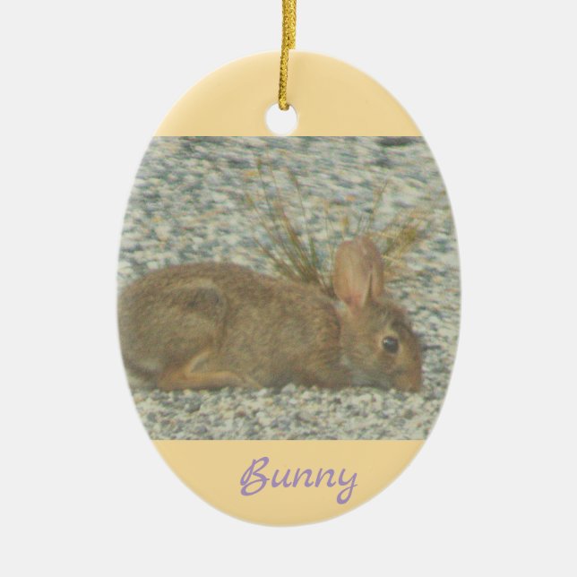 Bunny Photo Ornament  (Front)