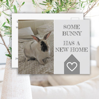 Bunny Photo We've Moved | New Home Announcement Postcard