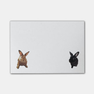 Bunny Post-Its Post-it Notes
