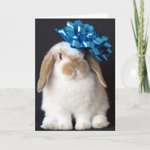 Bunny Rabbit Birthday Greeting Card
