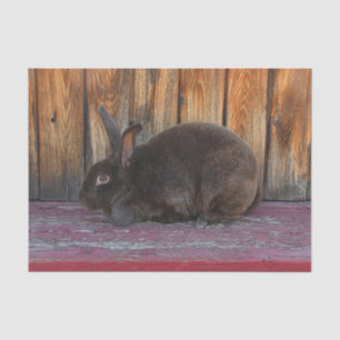 Bunny Rabbit Brown Wood Grain Easter Tissue Paper