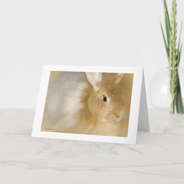 Bunny Rabbit (Caramel) Holiday Card (Front)