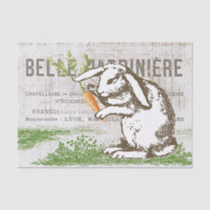 Bunny Rabbit Carrot French Easter Craft Decoupage  Tissue Paper