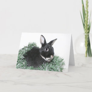 Bunny rabbit Christmas Holiday Card