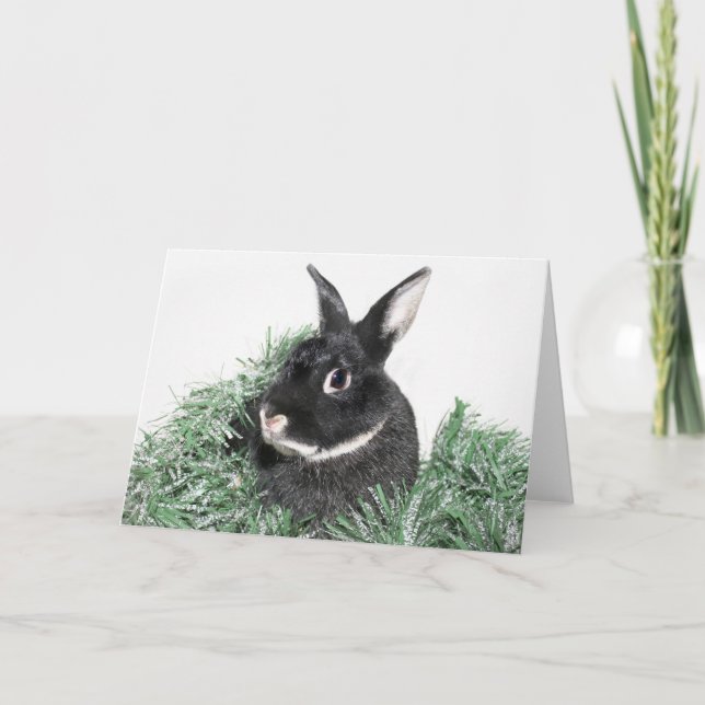 Bunny rabbit Christmas Holiday Card (Front)