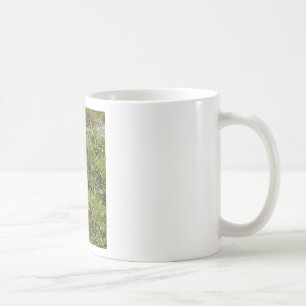Bunny Rabbit Hare Stuff Coffee Mug