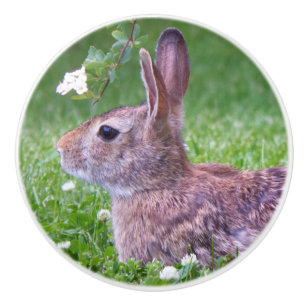 Bunny Rabbit in Grass Animal Nature Photography Ceramic Knob