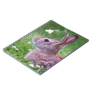 Bunny Rabbit in Grass with Flower Photograph Notebook
