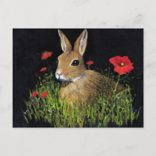 BUNNY RABBIT IN OIL PASTEL ON BLACK POSTCARD