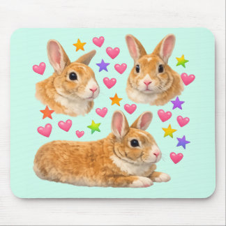 bunny rabbit kawaii cute rainbow pet mom mouse mat