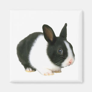 Bunny Rabbit Magnet