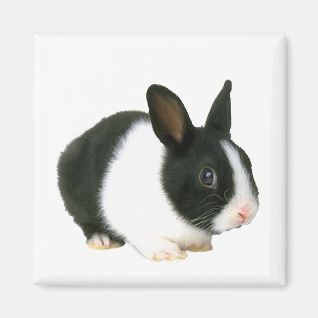 Bunny Rabbit Magnet (Front)
