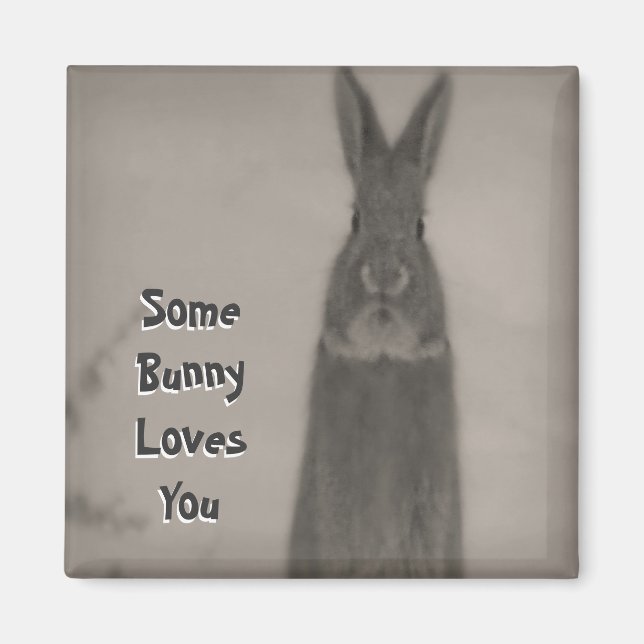 Bunny Rabbit Magnet (Front)