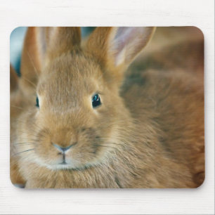 Bunny Rabbit Mouse Mat