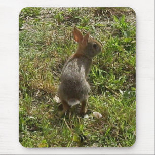 Bunny Rabbit Mouse Mat