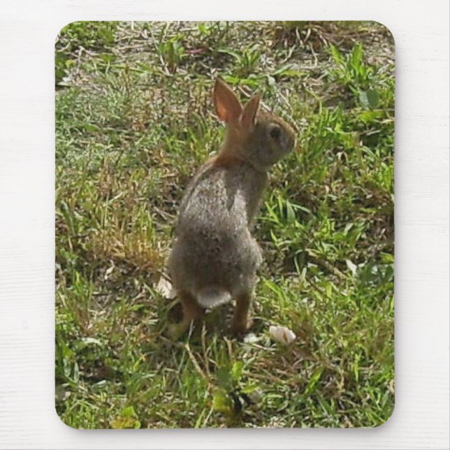 Bunny Rabbit Mouse Mat (Front)
