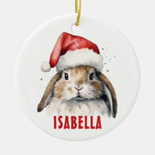 Bunny Rabbit Personalised Christmas Ornament