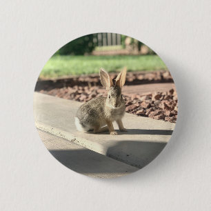 bunny rabbit photo Easter spring 6 Cm Round Badge