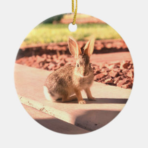 bunny rabbit photo Easter spring Ceramic Tree Decoration