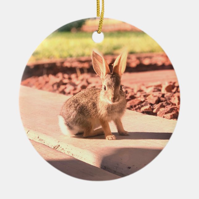 bunny rabbit photo Easter spring Ceramic Tree Decoration (Front)