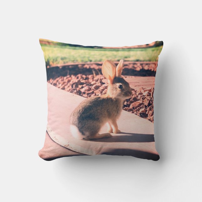 bunny rabbit photo Easter spring Cushion (Front)