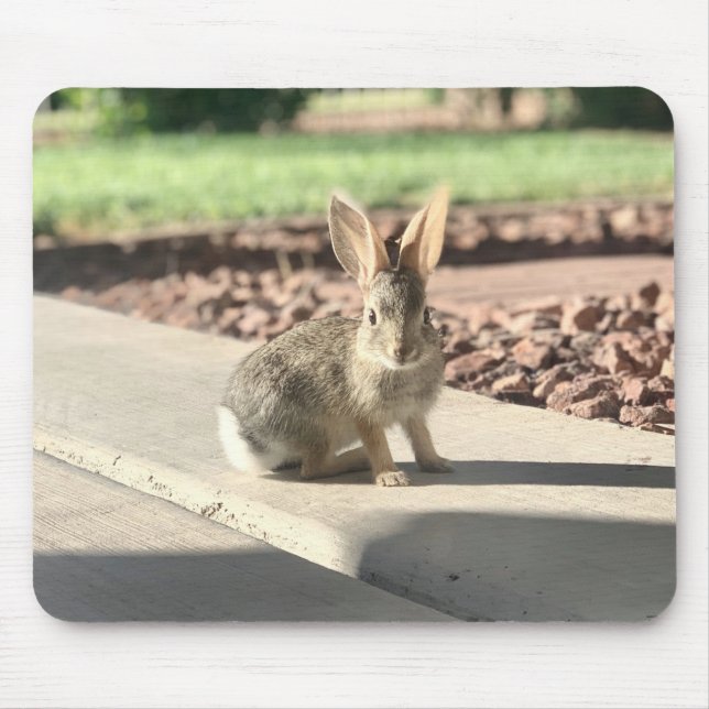 bunny rabbit photo Easter spring Mouse Mat (Front)