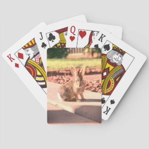 bunny rabbit photo Easter spring Playing Cards