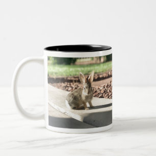 bunny rabbit photo Easter spring Two-Tone Coffee Mug
