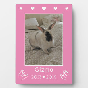 Bunny Rabbit Photo Memorial For Child   Pink Plaque