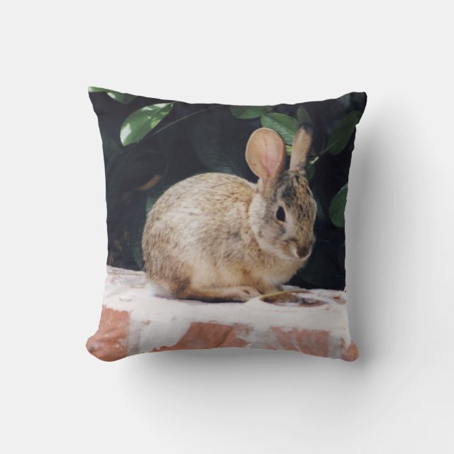Bunny rabbit pillow (Front)
