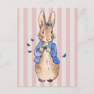 Bunny rabbit postcard