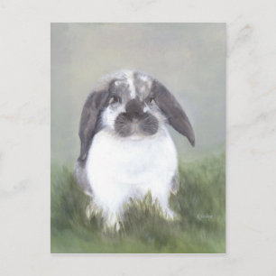 Bunny Rabbit Postcard