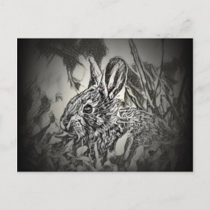 Bunny Rabbit Postcard - Yard Critters 