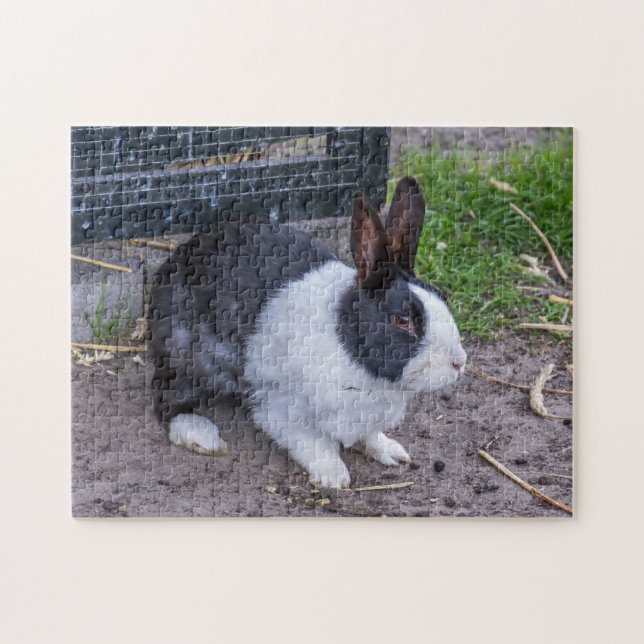 Bunny rabbit puzzle (Horizontal)