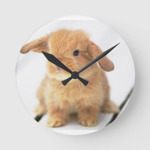 Bunny Rabbit Round Clock