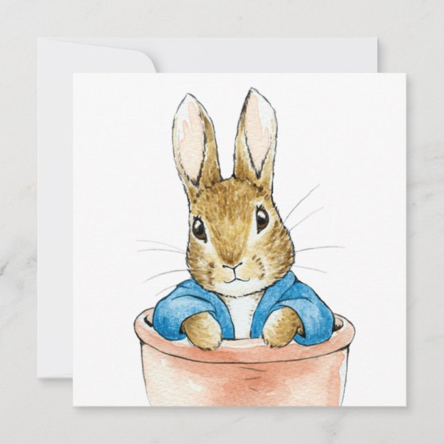 Bunny rabbit sitting in a pot (Front)