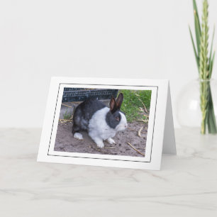 Bunny rabbit up close greeting card