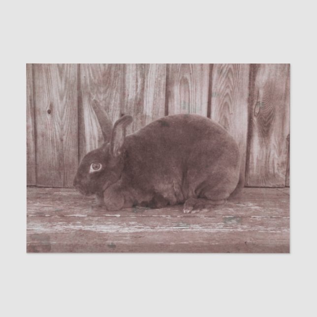 Bunny Rabbit Vintage Brown Easter Tissue Paper (Front)