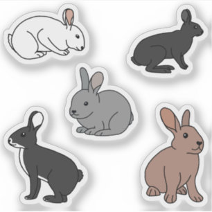 Bunny Rabbits
