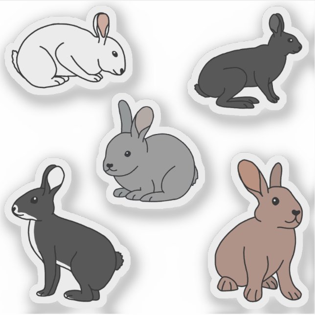 Bunny Rabbits (Front)