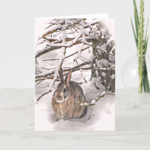 Bunny seeking shelter card