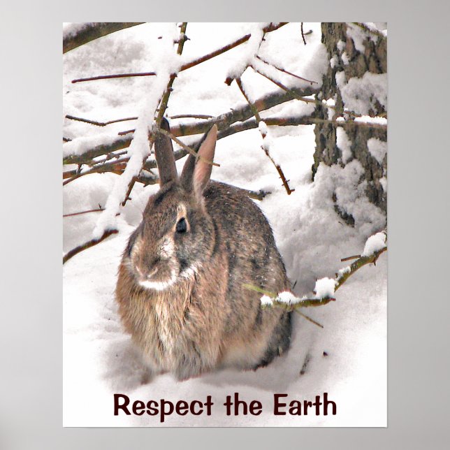 Bunny Seeking Shelter Earth Day Poster (Front)