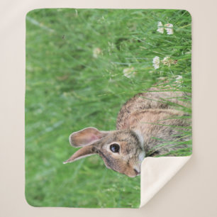 Bunny  sherpa blanket