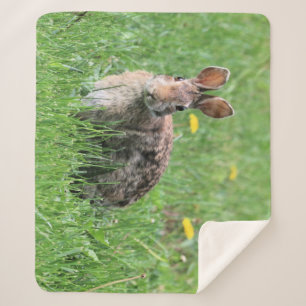 Bunny sherpa blanket