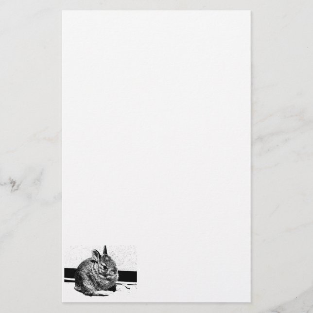 Bunny stationery (Front)