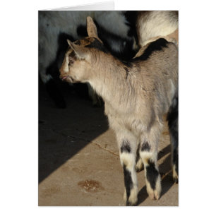 Bunny The Goat Blank Inside Greeting Card