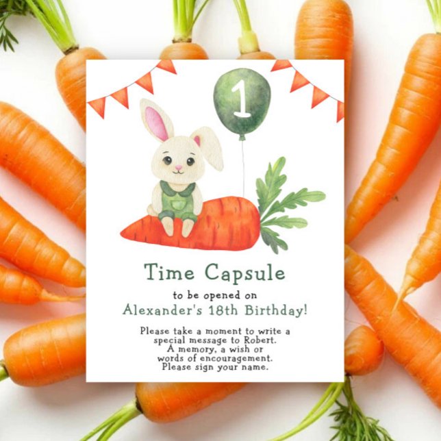 Bunny Time Capsule 1st birthday Poster (Creator Uploaded)
