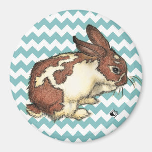 Bunny washing his face magnet