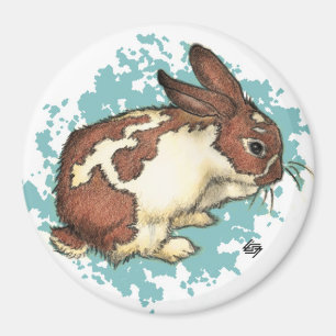 Bunny washing his face with blue magnet