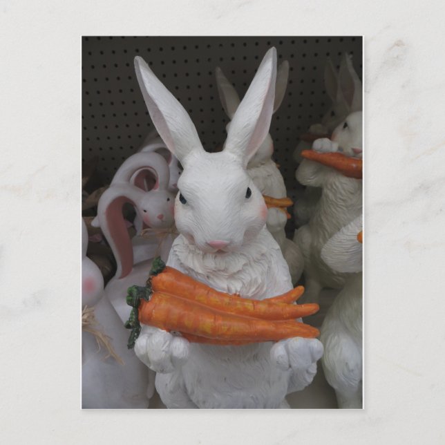 Bunny With Carrot Postcard (Front)
